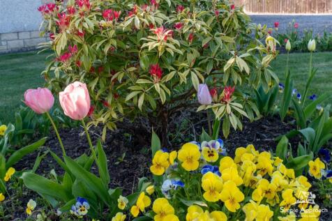 DSC03189-HDR.jpg