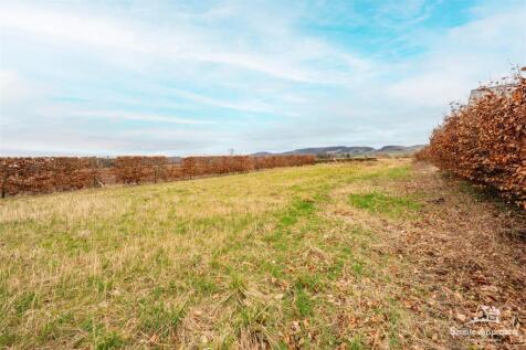 DSC00509-HDR.jpg