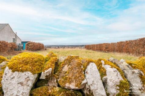 DSC00518-HDR.jpg