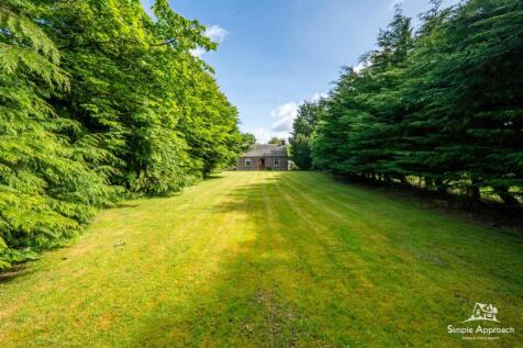DSC09087-HDR.jpg