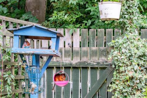 DSC09887-HDR.jpg