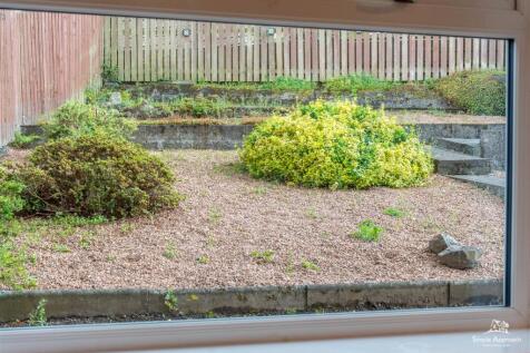 DSC09894-HDR.jpg