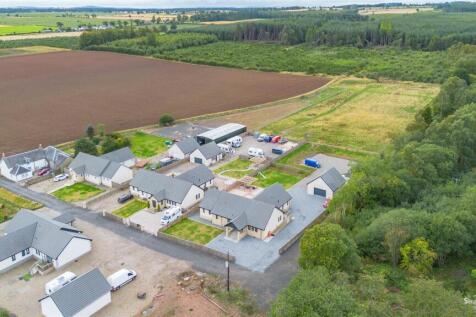 DJI_0017.jpg