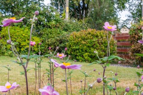 DSC00957-HDR.jpg