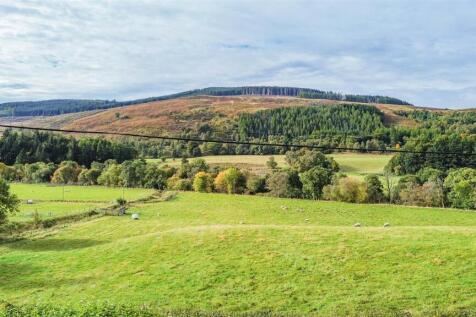 DJI_0164.jpg