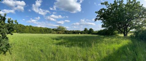 Meadows to the rear