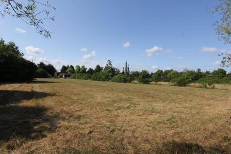 Left Paddock