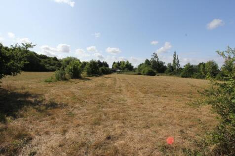 View across both paddocks