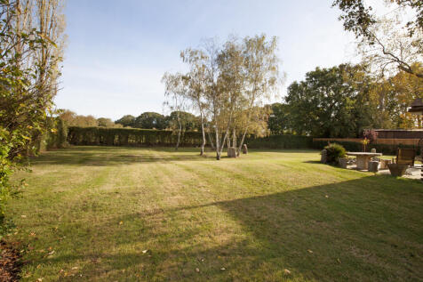 Rear Gardens