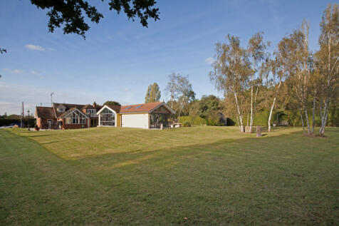 Grounds