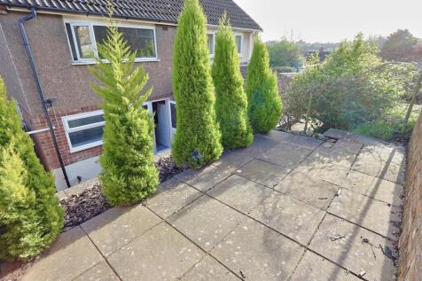 Raised Garden