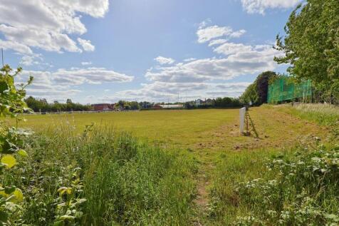 Field View