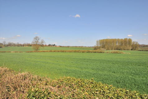 Countryside View