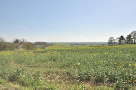 Countryside View(2)