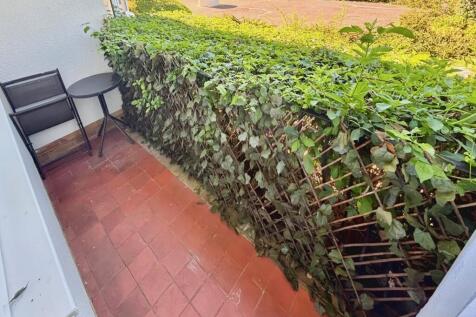 Patio Area