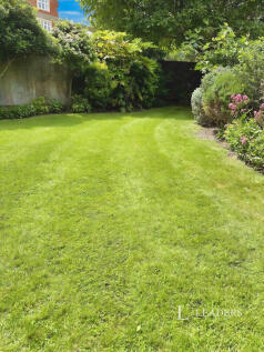 Communal Garden