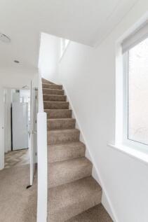 11_16554615376460.jp