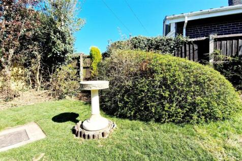 Bird Bath