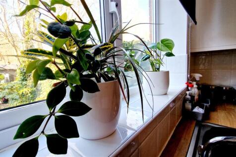 Window ledge