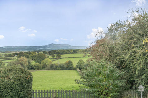 1361446-10-68dd67...