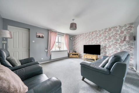 1365609-6-68efcc5...