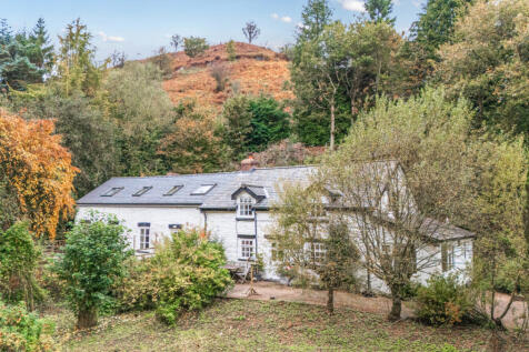 1362744-DJI_20251...