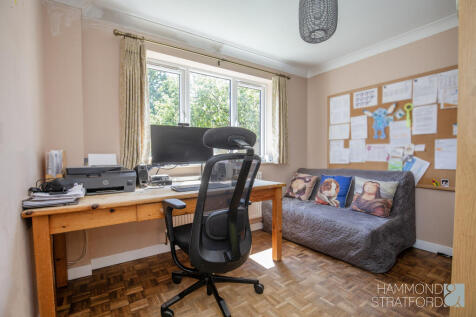 Study Area