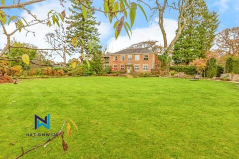 Property Image 37