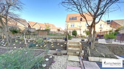 Vegetable Plot