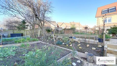 Vegetable Plot