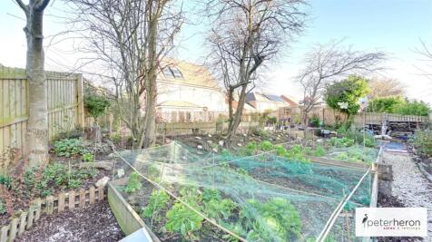 Vegetable Plot