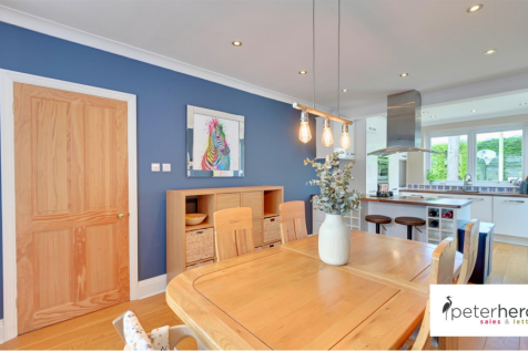 Living Room/Kitchen