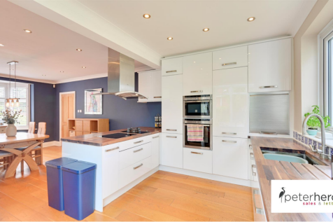 Living Room/Kitchen