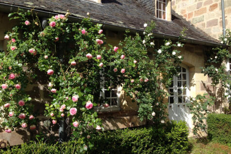 Property Image 37