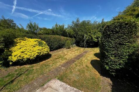 Rear Garden .jpg