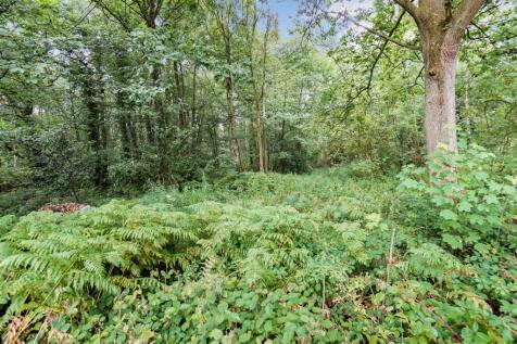 Woodland