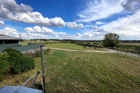 View from Cottage