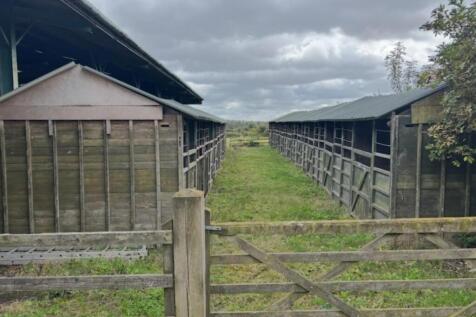 Stables.jpeg