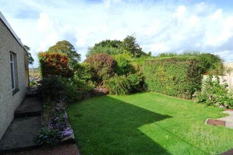 New garden 73 Frampton End.JPG