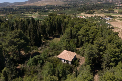 Property Image 16