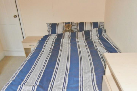 124 LYTTON ROAD-04.png