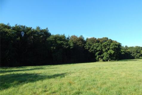 Wood (Not Field)