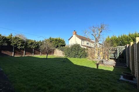 Sunny Garden