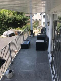 IMG_8203.jpeg