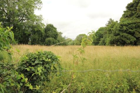 View across meadows