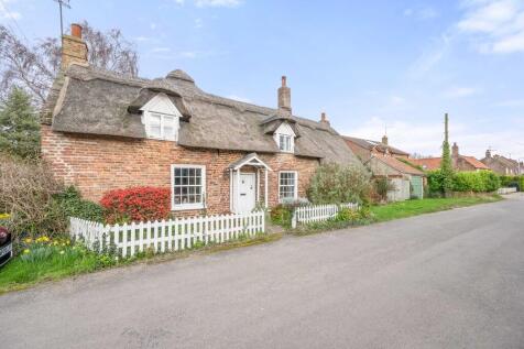 Thatch 1 T202504041224.jpg