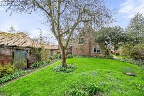 Thatch 3 T202504041224.jpg