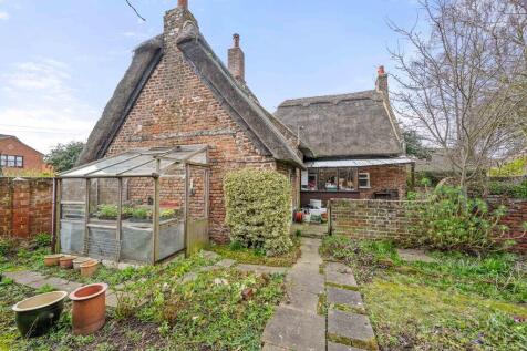 Thatch 4 T202504041224.jpg
