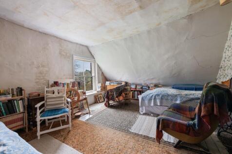 Thatch 15 T202504041224.jpg
