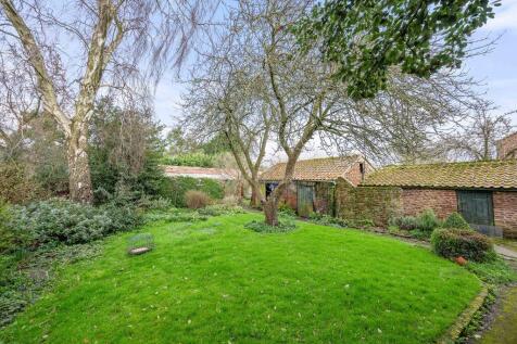 Thatch 17 T202504041224.jpg